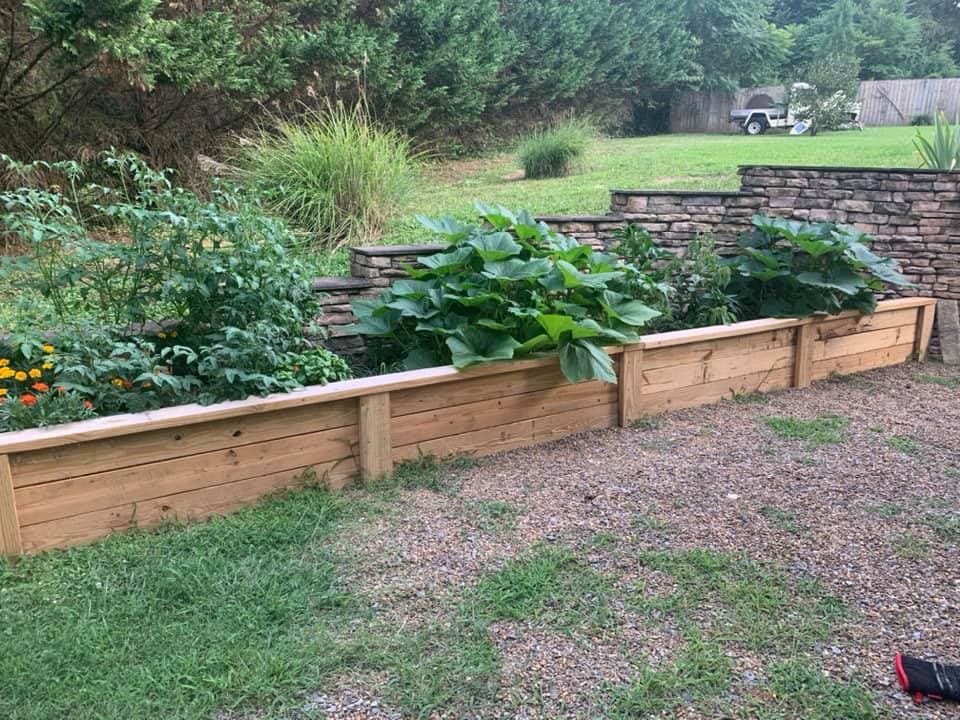 Bianca Hubbard's garden build