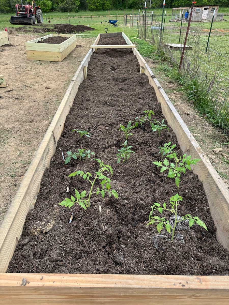 Dylan Chupp's garden build