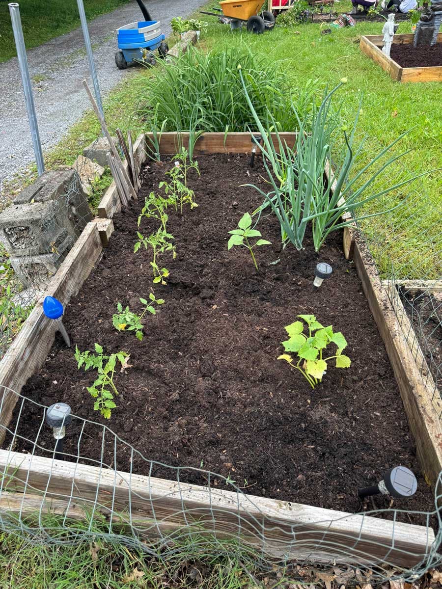 Leslie & Ronnie Jowers's garden build