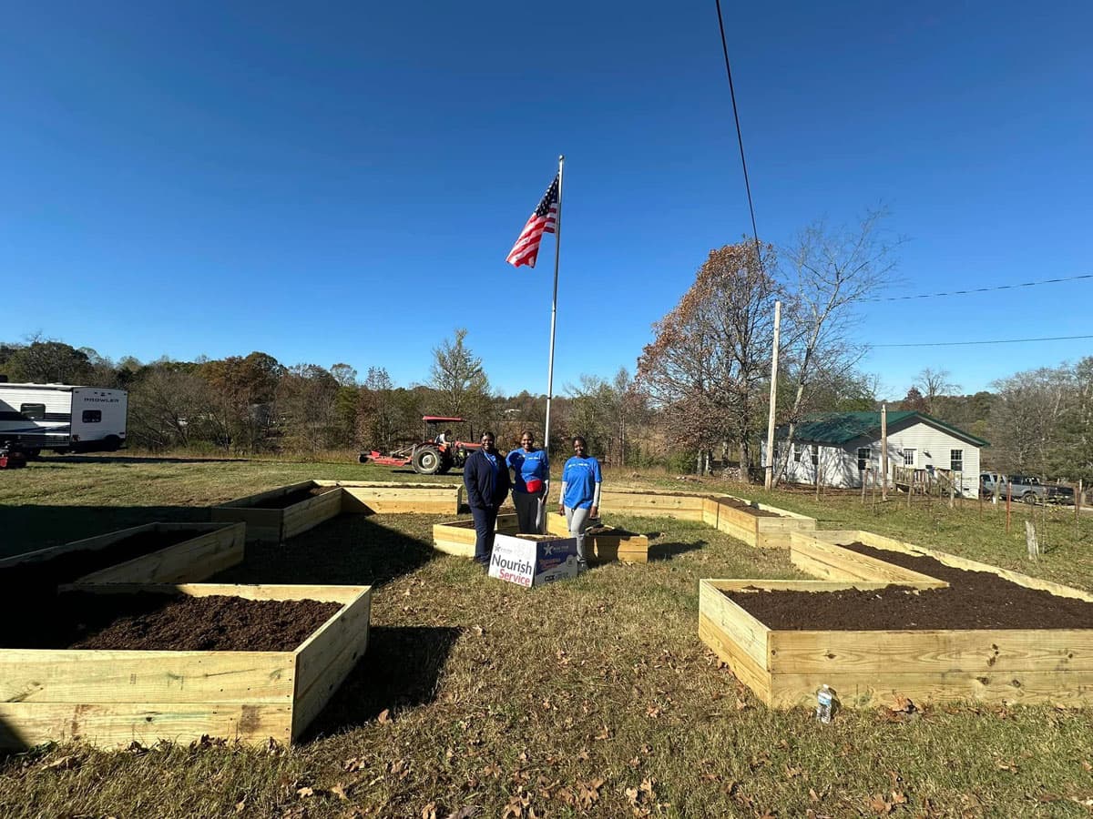 Logan Clark's garden build