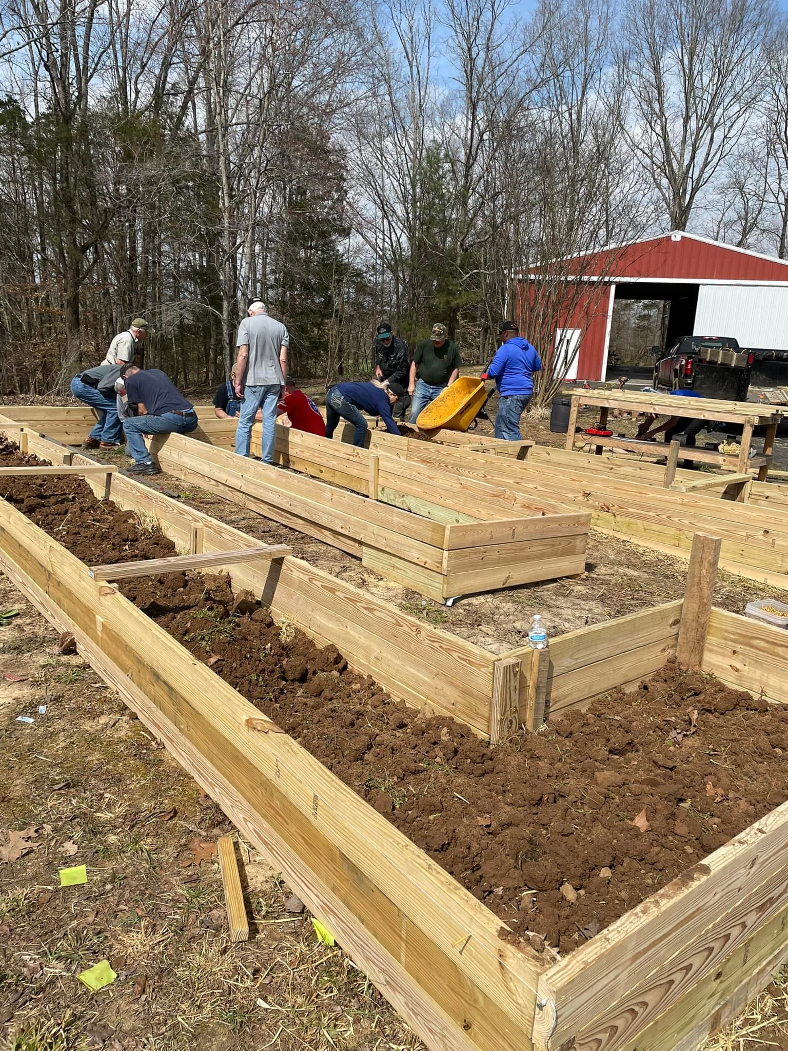 Savannah Scallon's garden build