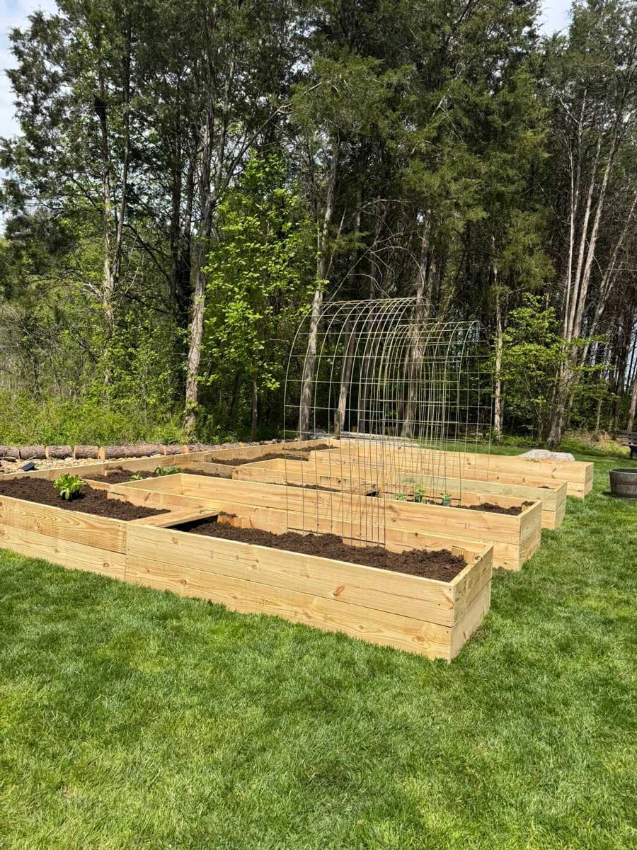 Steve Buelow's garden build