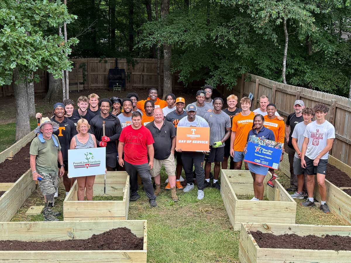 Tommy Webb's garden build