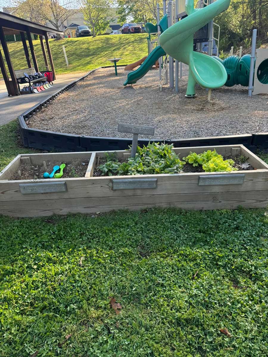 Wesley Day School's garden build