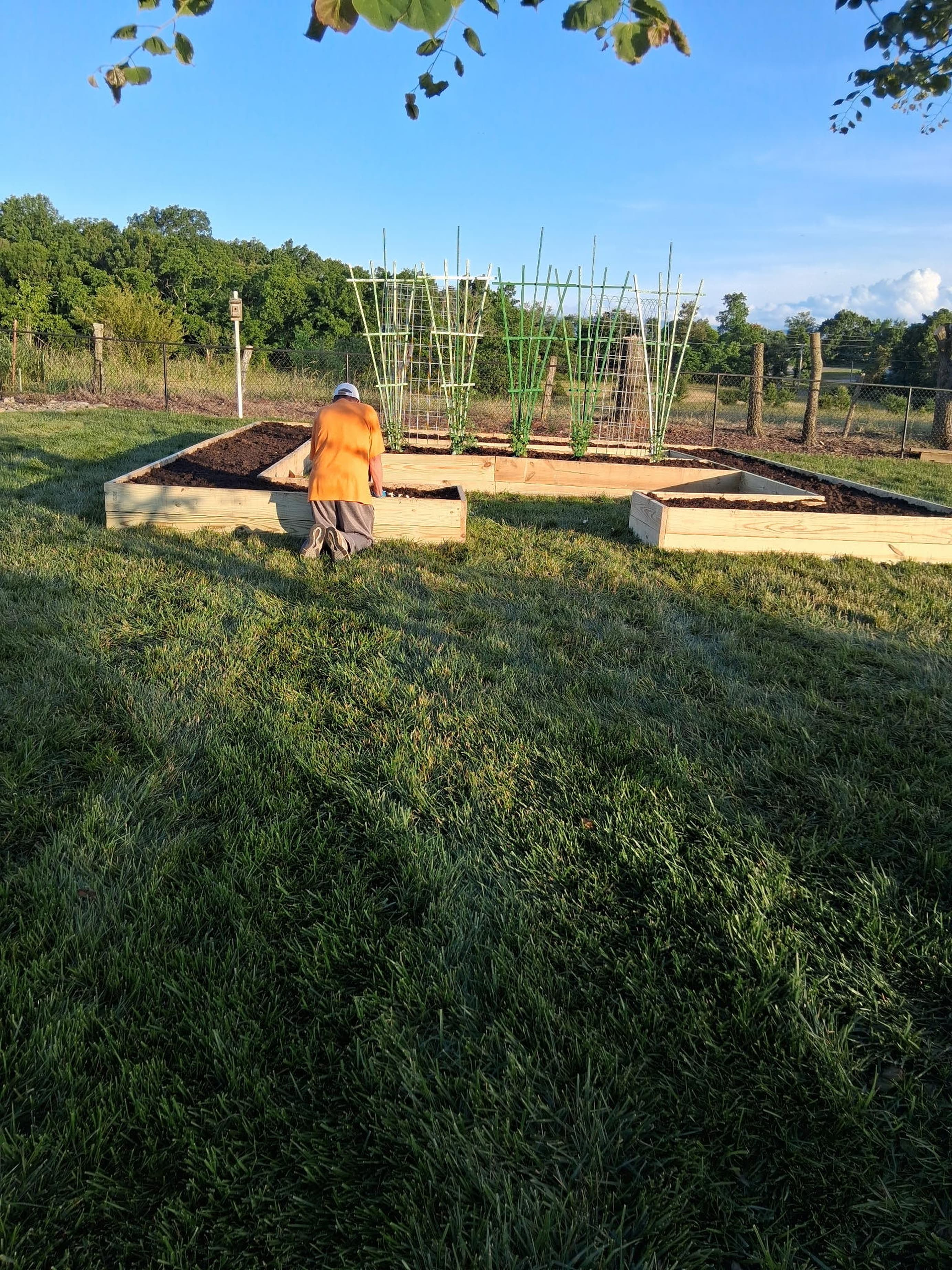 Mark Anderson's garden build
